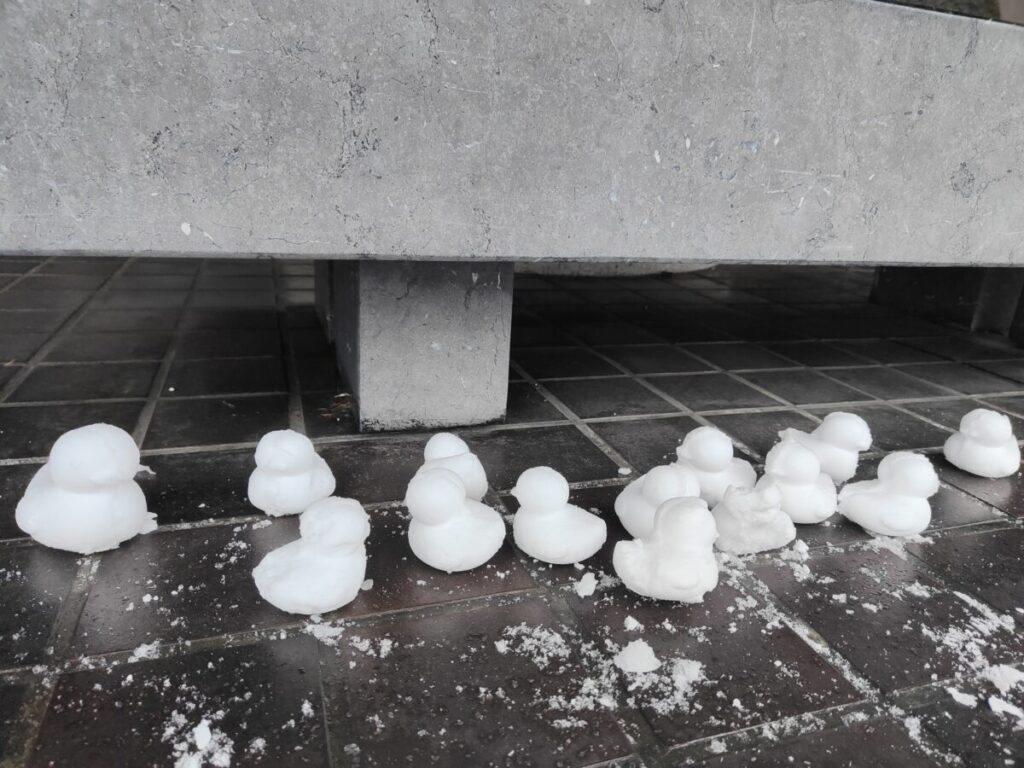 北海道立近代美術館入口にあったアヒルの形の雪玉アップ