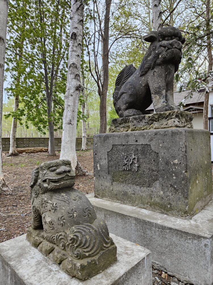 樽川神社の狛犬は大小2対。小さい方の狛犬は、道内唯一の見返り狛犬。吽形。
