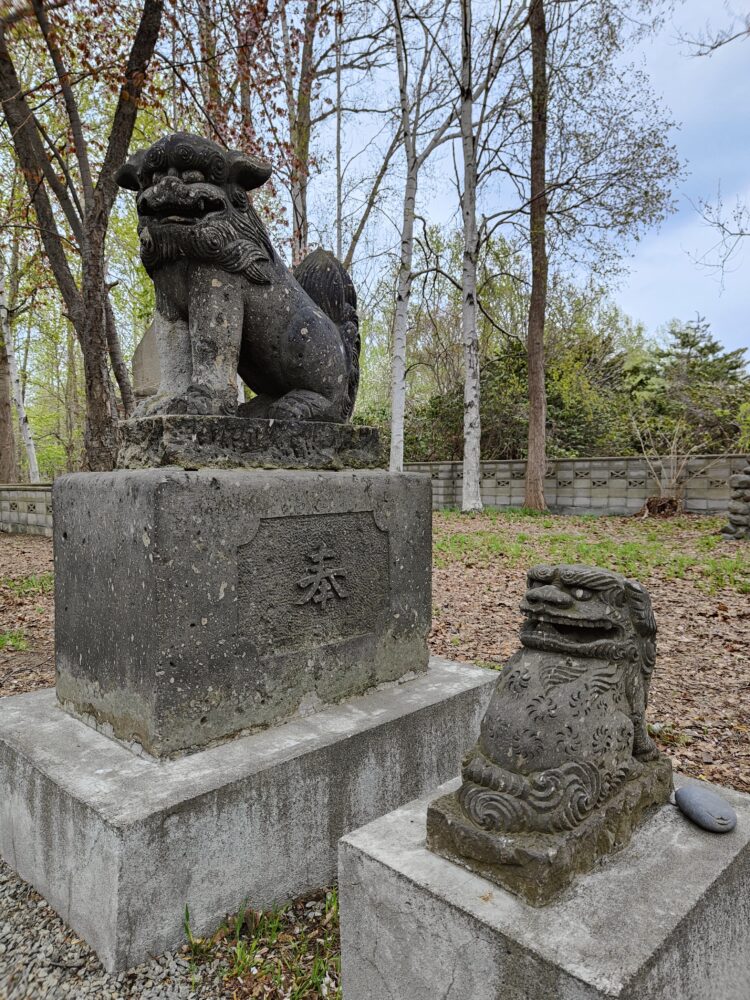樽川神社の狛犬は大小2対。小さい方の狛犬は、道内唯一の見返り狛犬。阿形。